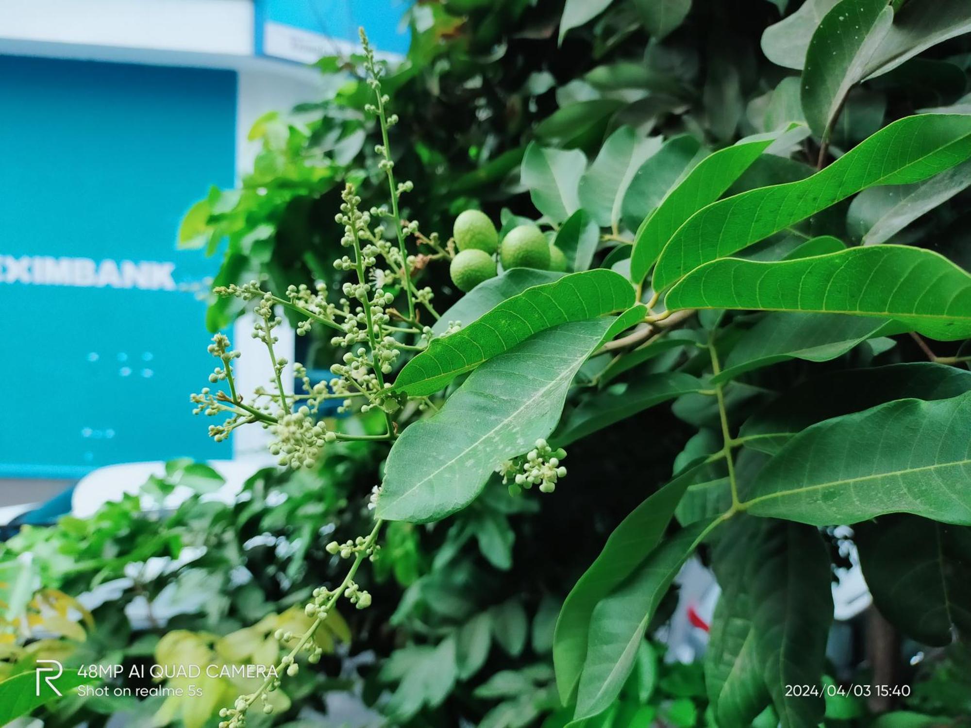 Shusimi House & Boutique Near Tan Son Nhat Airport Ho Chi Minh City Exterior photo
